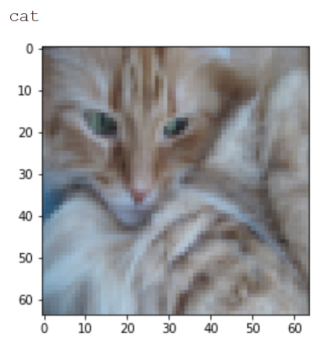 cat-navigate