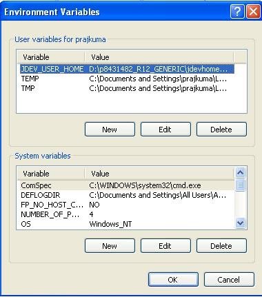 setting environment variables